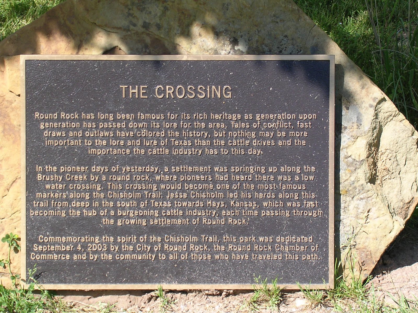 Morning Glories In Round Rock: The Crossing on Chisholm Trail