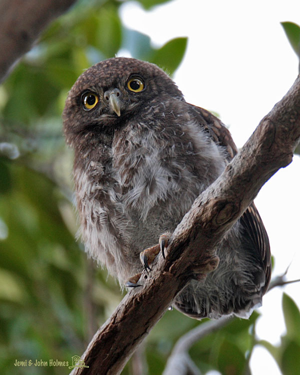 [090510_ABO_baby-01.jpg]