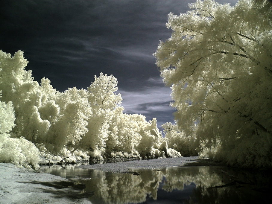 Damn Fresh Pics Excellent Examples Of Infrared Photography