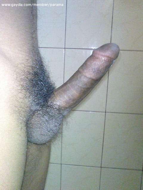 Males Cock 109