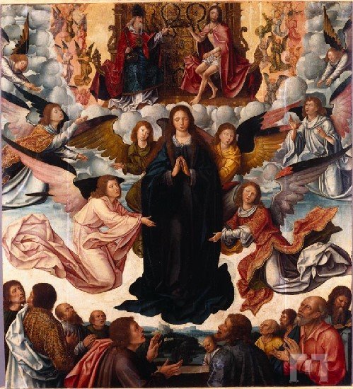 [Machado+Castro.jpg]