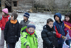 anellament  ocells al hivern