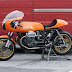 Orange Guzzi