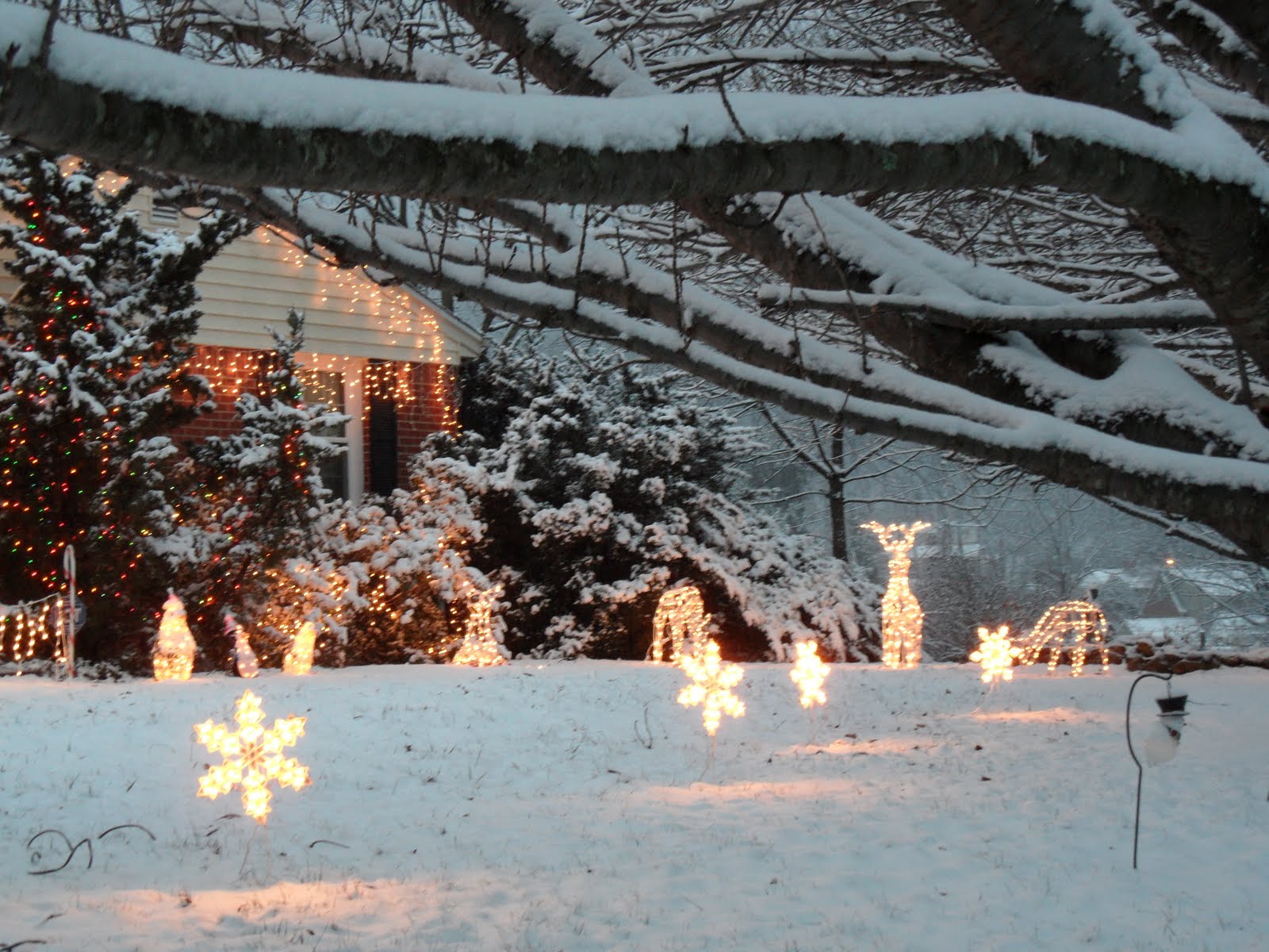 MsElenaeous Pics White Christmas Night in Roanoke