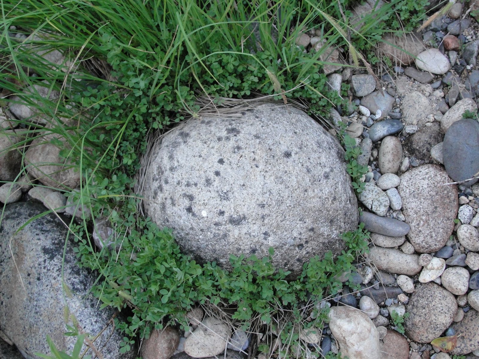 Res Rustica: Stone Mulching in the Desert