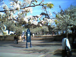 Spring at the Prado