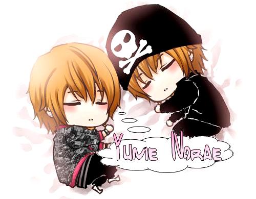 ~Yume Norae~