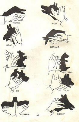 Mrs. Yollis' Classroom Blog: Science: A Light Lesson!