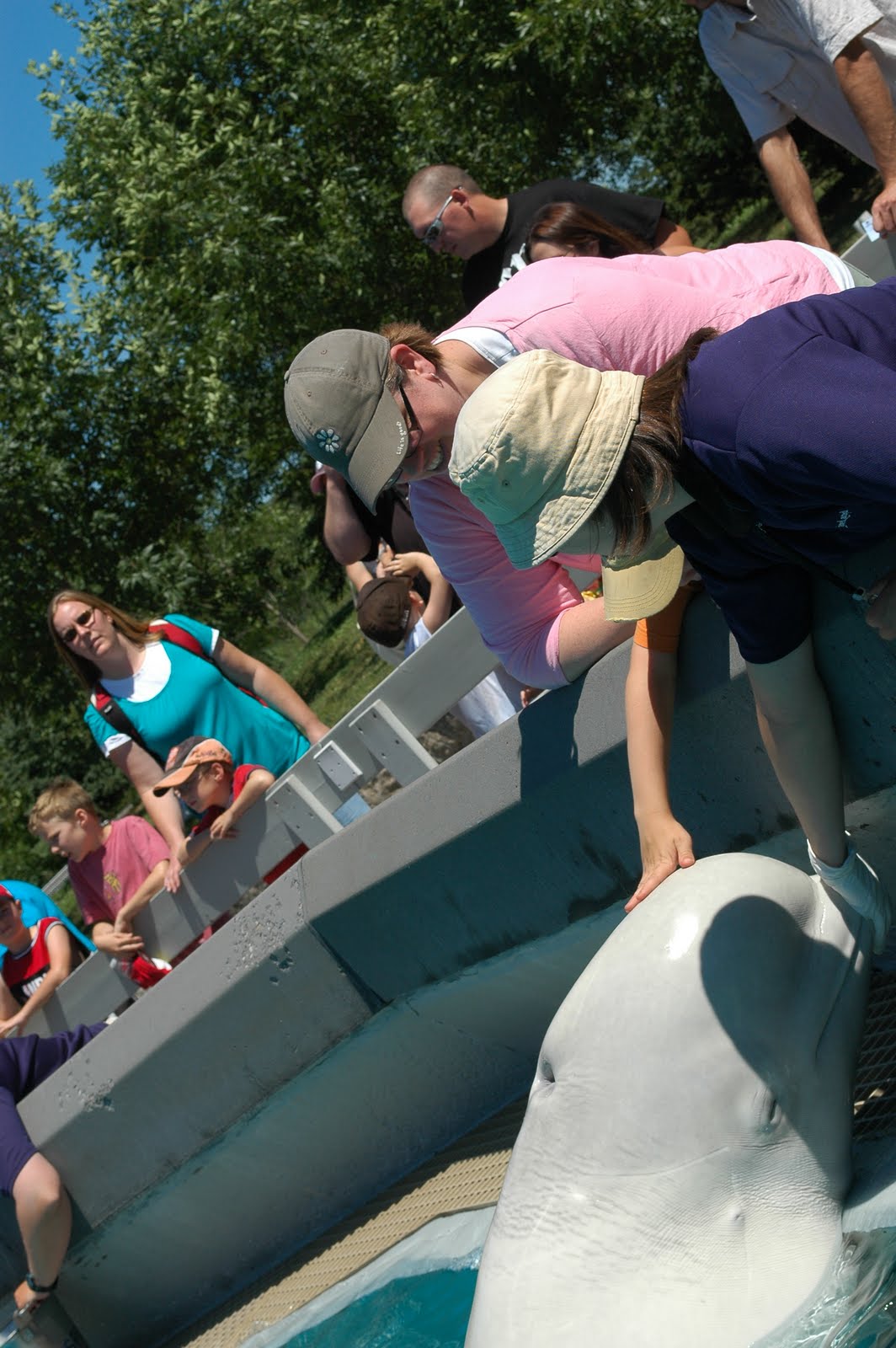 The Cheeky Designer: Everybody Loves Marineland!