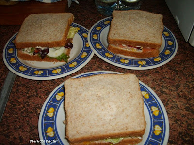 sandwich terminados