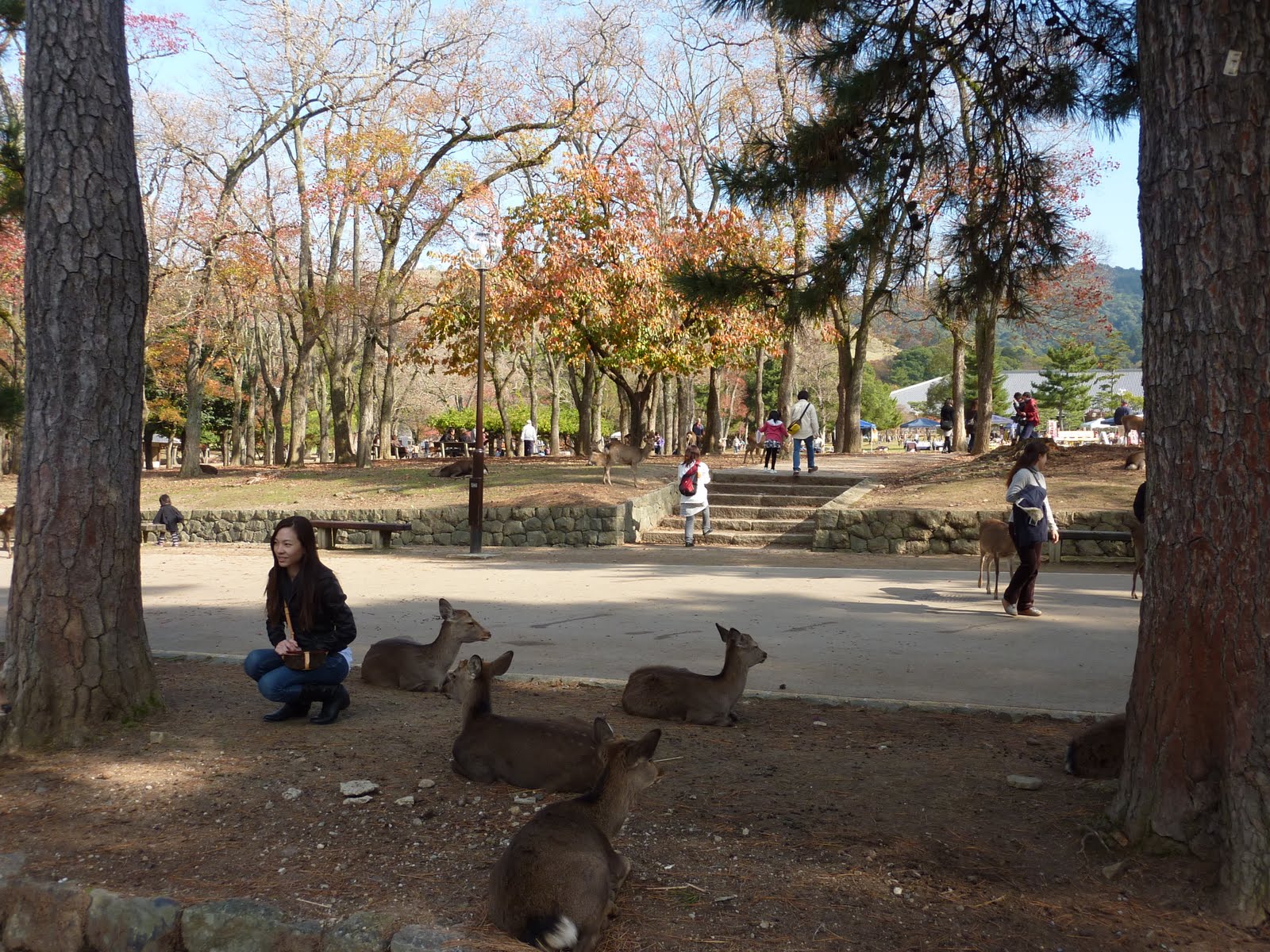 [21.11.09+Nara+024.jpg]