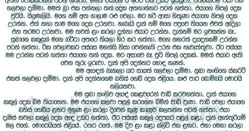 Appa Kade Wal Katha : Sinhala wela Katha: Sex Tutorial 2 - Appa wal katha.....