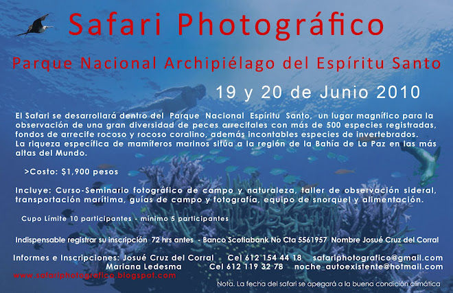 Safari Photográfico Parque Nacional Espíritu Santo