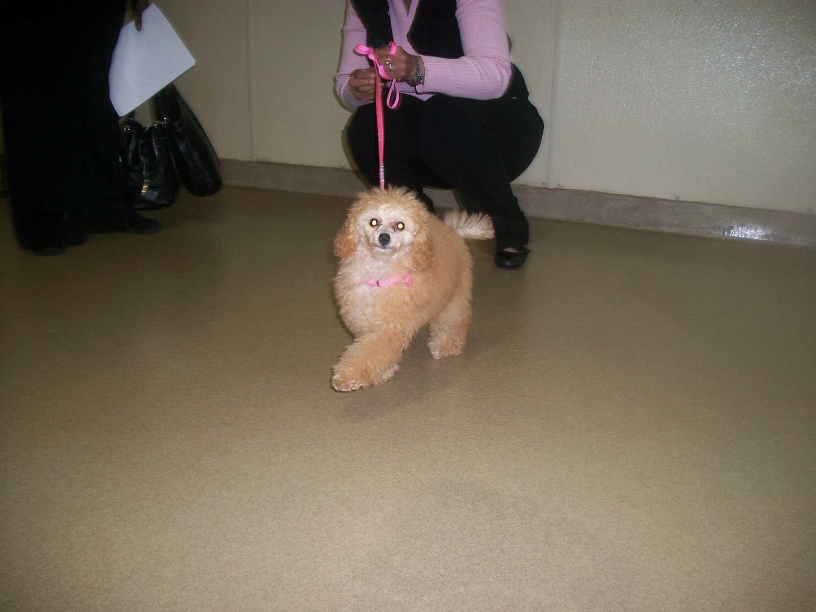 Best Friends Gaithersburg