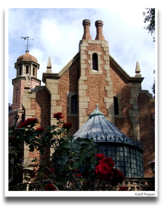 [Haunted+Mansion+Roses.jpg]