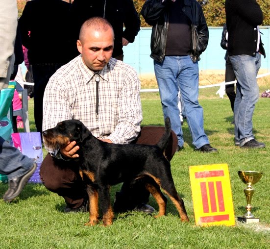 CACIB--SKOPJE-2010