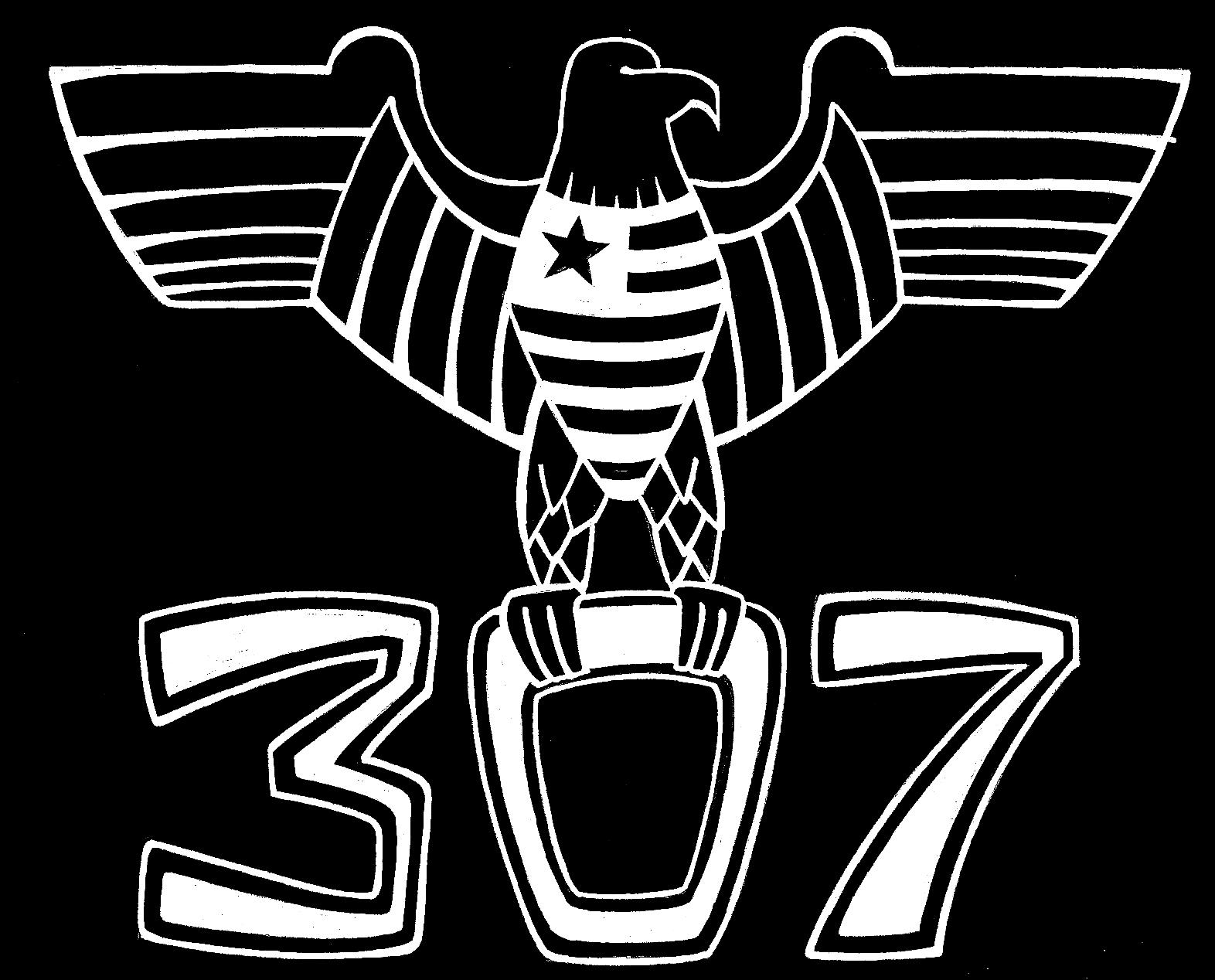 The 307 Chronicles: The Warbird