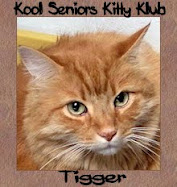 R U A Senior Kitty 8 + yrs.old?