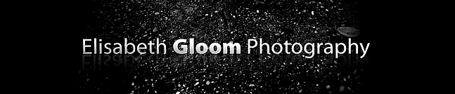 Fotoblogi