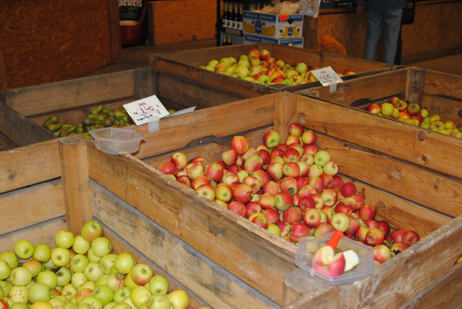 "Build, therefore, your own world." Ralph Waldo Emerson Bauerngarten