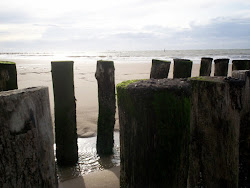 De Noordzee