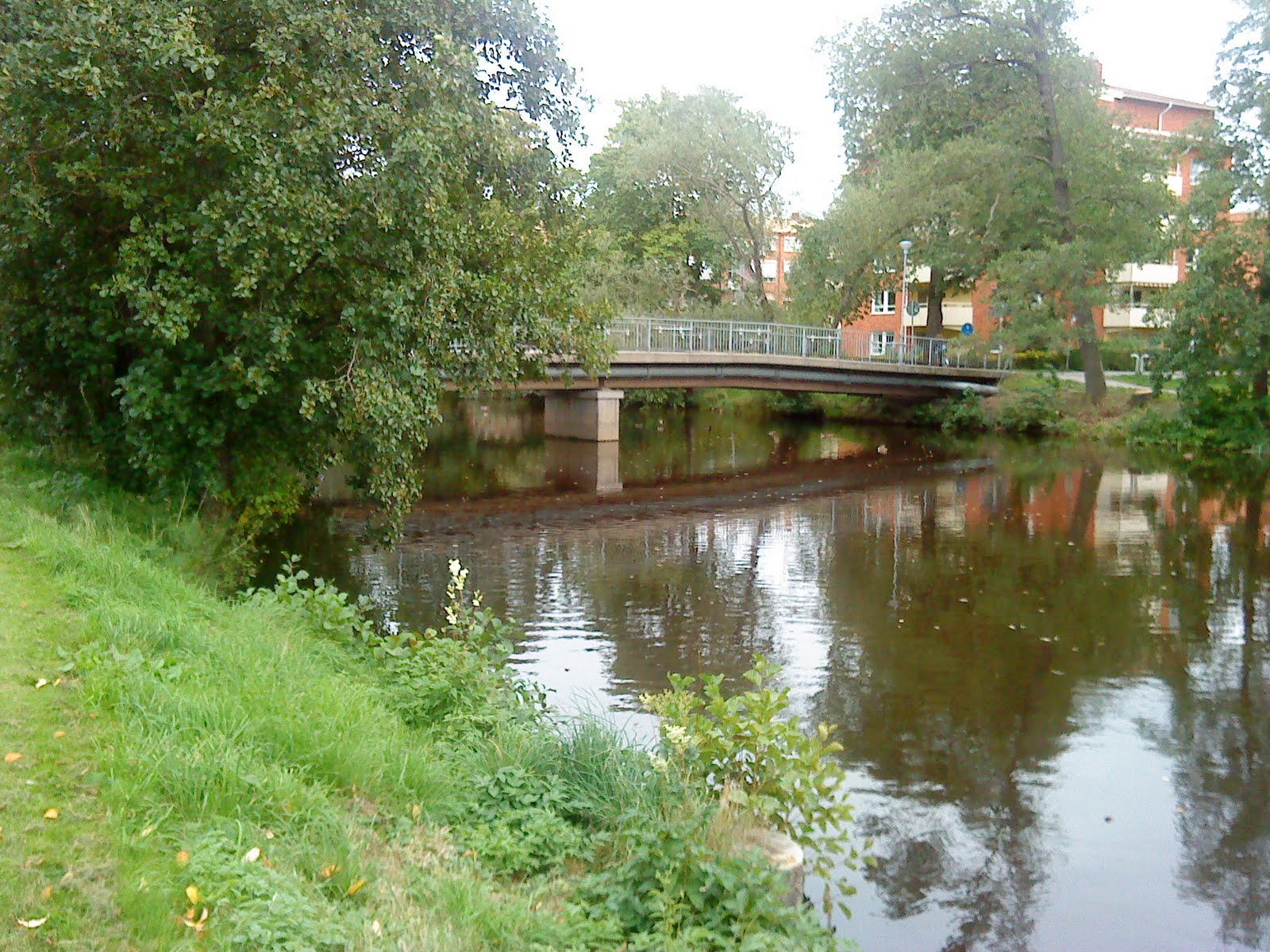 bron (image)