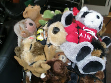The Petting Zoo!