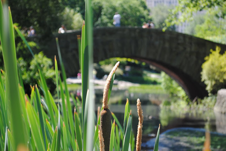 Love Bridge