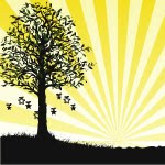 City of the Southwest