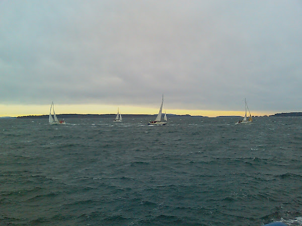 Crazy Sidney Sailors