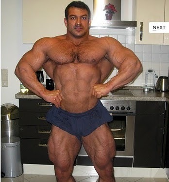 world bodybuilders pictures: world handsome muscles bodybuilders