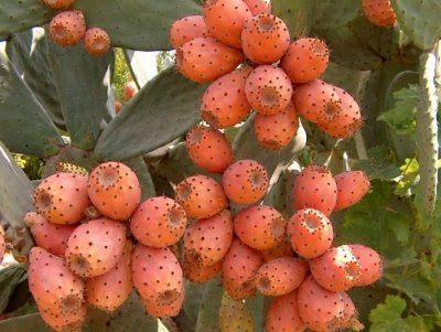 ������ ���� ������ �� ���� ������