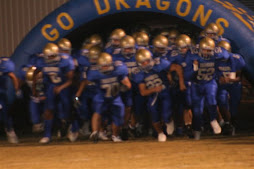 Go Dragons
