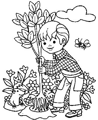 Kids Coloring Sheets on Kids Coloring Pages  Little Boy Is Planting A Tree     Disney Coloring