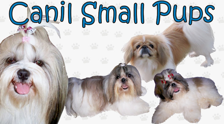 Canil Small Pups