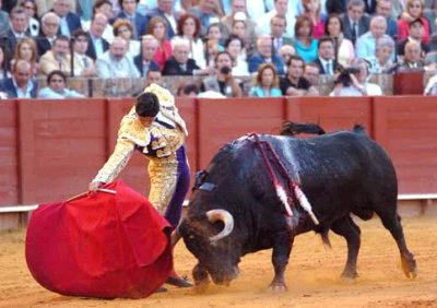 http://1.bp.blogspot.com/_38_U-2c0R_g/THErg9JmxBI/AAAAAAAADq4/6wcE2gq-IxQ/s1600/CORRIDAS+DE+TOROS1.jpg