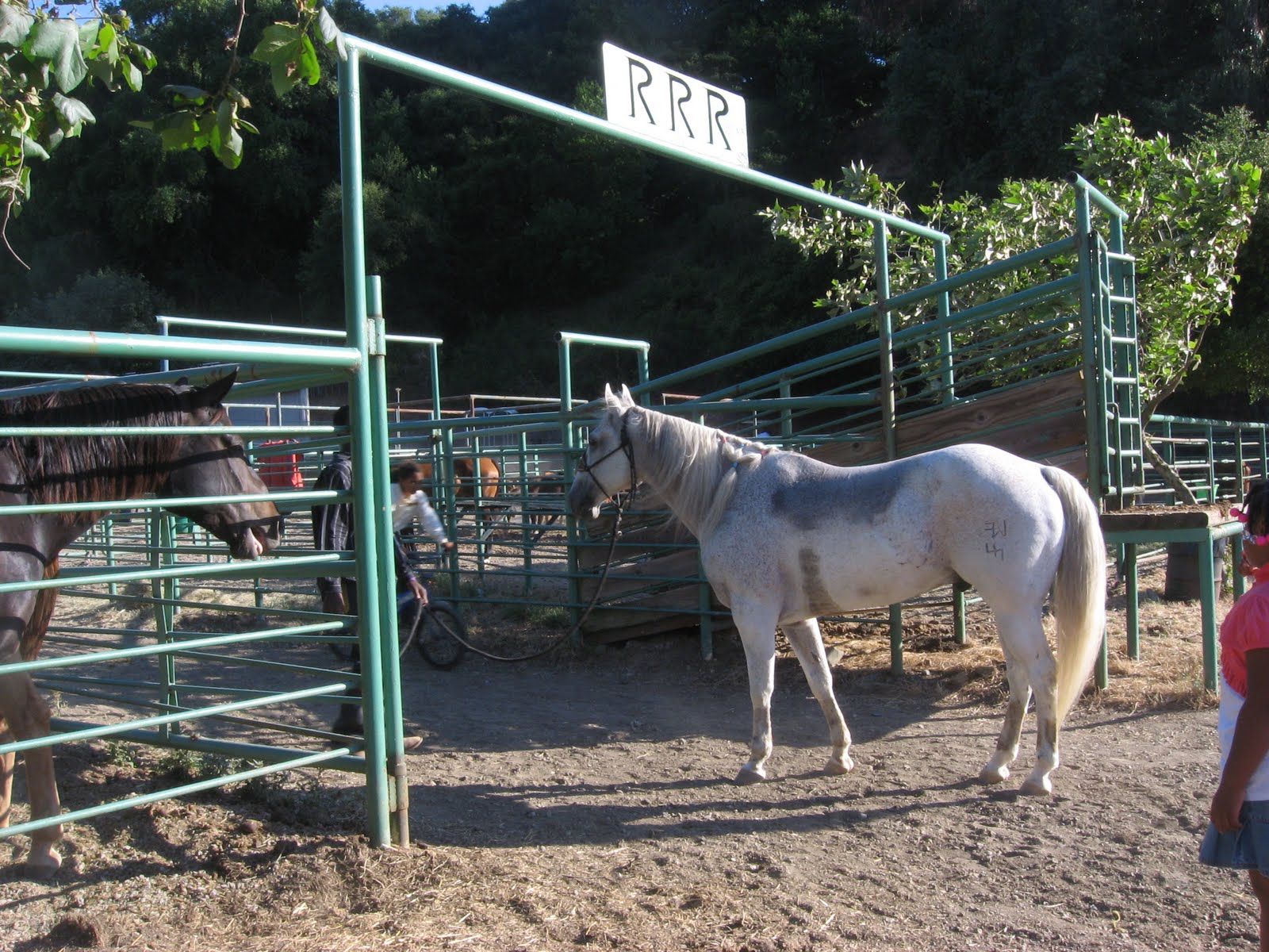 Interchange: Bill Pickett Invitational Rodeo July 10-11 in Hayward