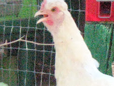 Try to feed me straw again, I'll give you more than the finger, you cheap _________.