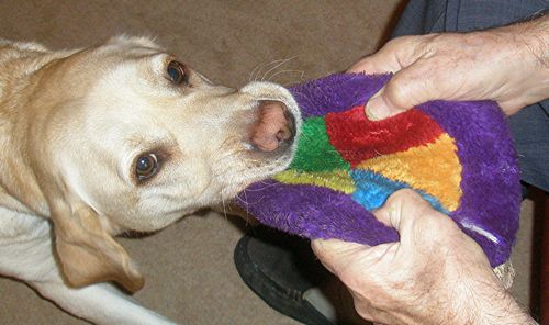 [tn_HSMS+win+again.jpg]