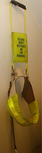 [tn_HSMS+dangle.jpg]