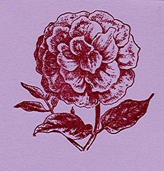 [tn_2008+06+stamp+swap+1.jpg]