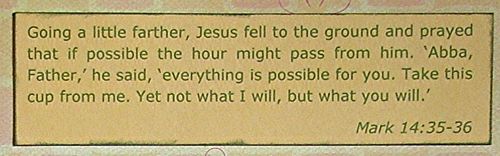 [tn_Salt+Mark+14.jpg]