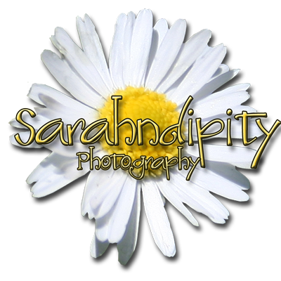 Sarahndipity Photography