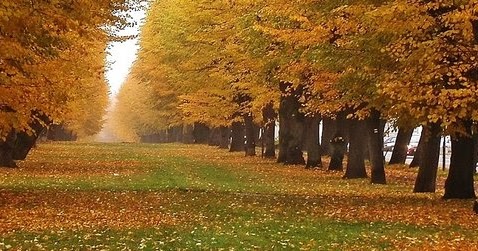 Libro el trueno de la justicia pdf gratis