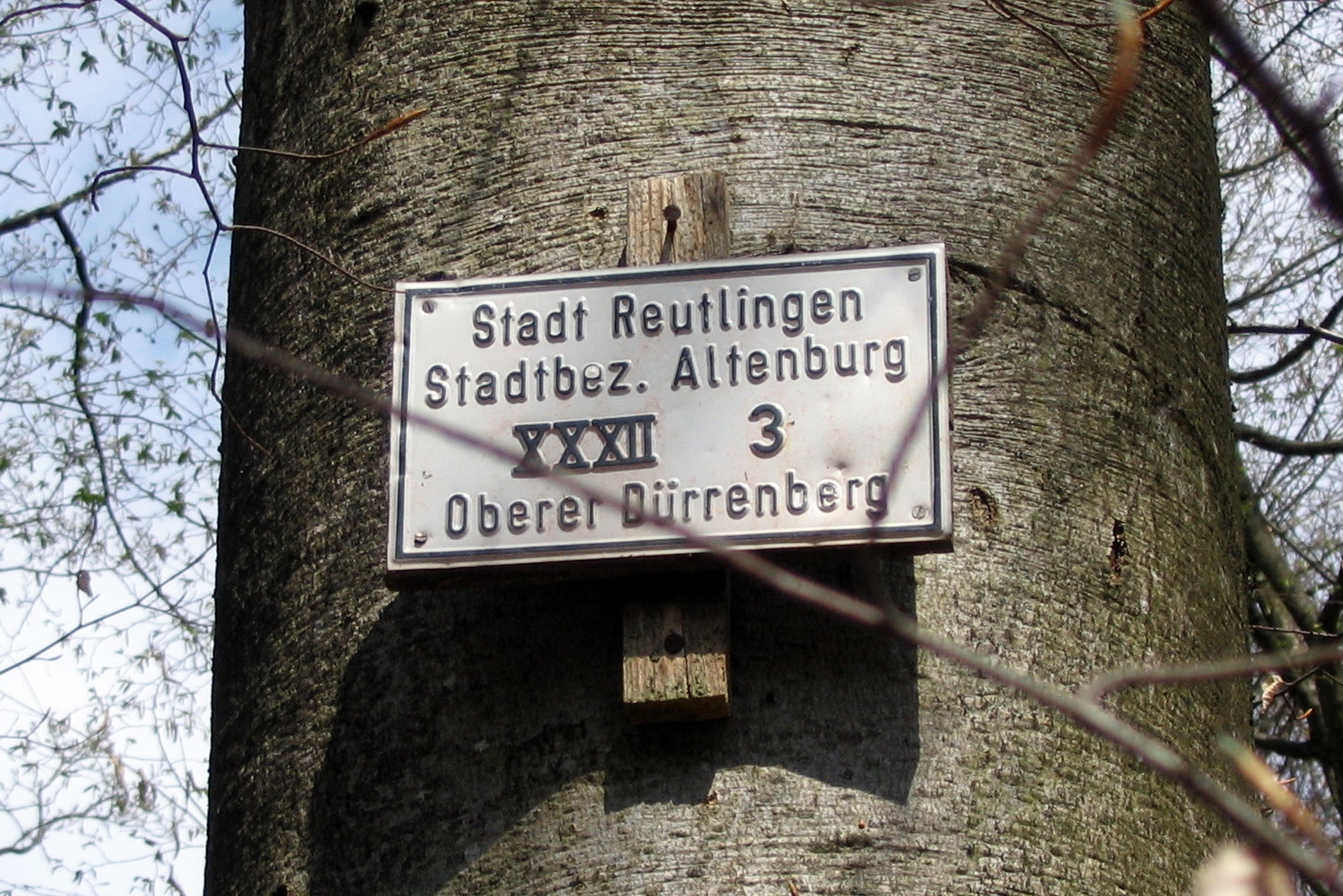 Altenburg am Neckar Auf dem "Altenburger Weg" im "Altenburger Wald"