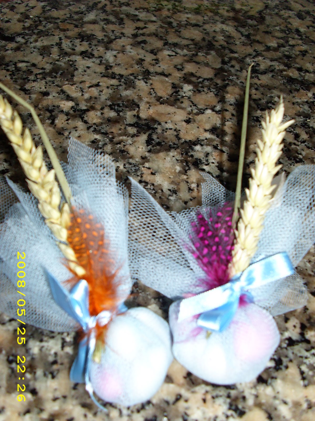 [Comunhão+Nani+054.jpg]