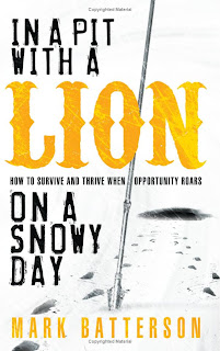 In a Pit with Lion on a Snowy Day