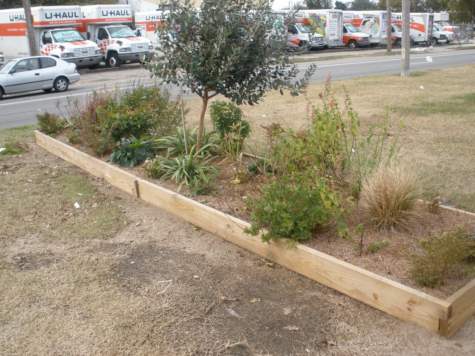 [garden4.jpg]