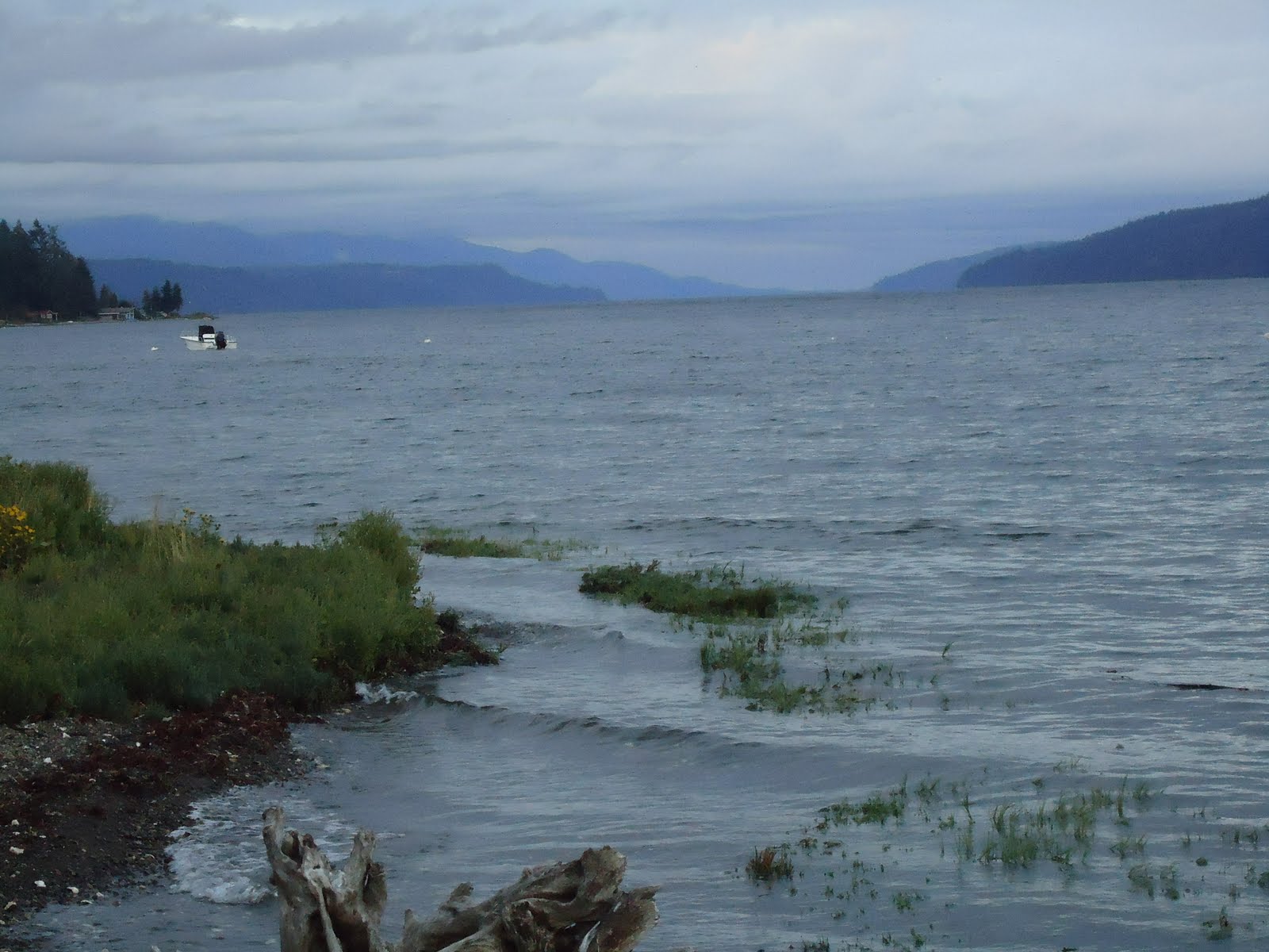 Matthew's Washington Trip Potlatch State Park