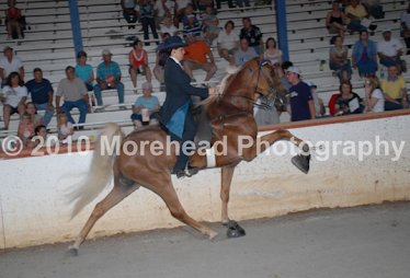 Putnam County Horse Show